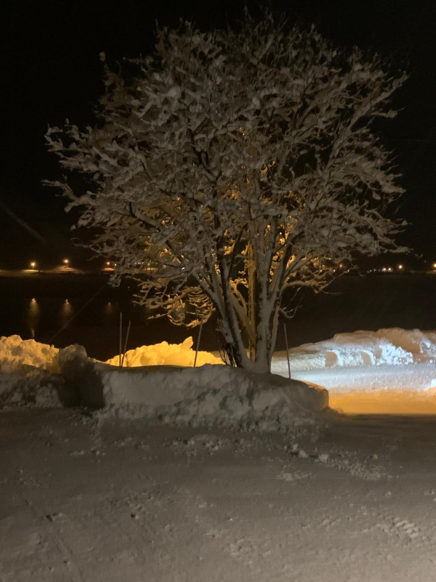Liten Leilighet Inkludert Frokost Valberg Luaran gambar